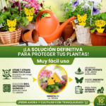 Pack de 10 Protectores atrapa Insectos para Plantas - Imagen 2