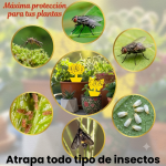 Pack de 10 Protectores atrapa Insectos para Plantas